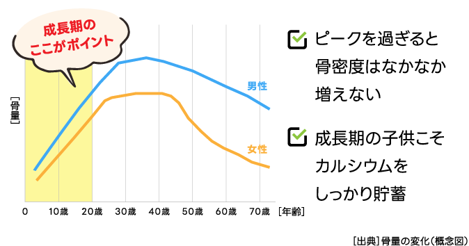 成長期の子供こそカルシウムをしっかり貯蓄